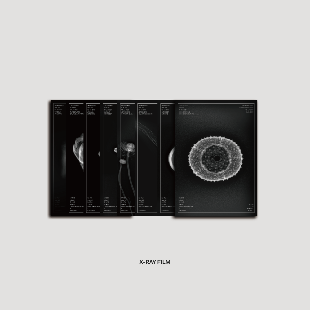 《Unsensored》Mixtape
